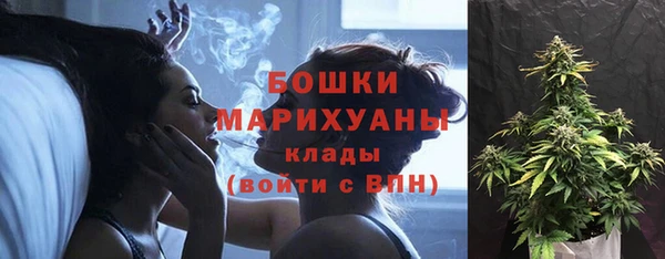 2c-b Лагань